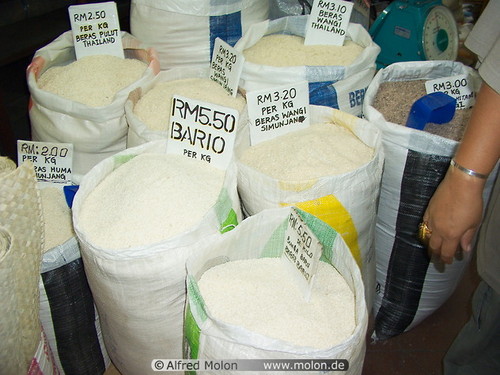 Manufacturers Exporters and Wholesale Suppliers of Rice Bags yamuna nagar Haryana